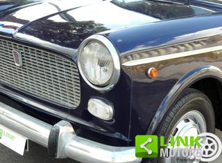 FIAT 1100 usata 24