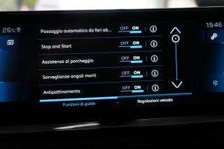 PEUGEOT 3008 usata, con Cruise Control