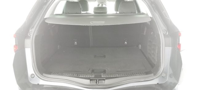 RENAULT Megane usata, con Vivavoce