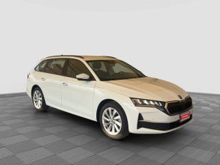 SKODA Octavia usata 7