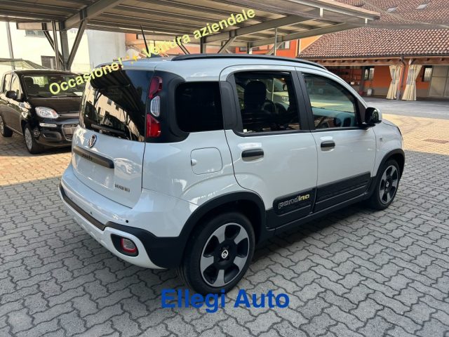 FIAT Pandina usata, con Climatizzatore