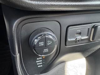 JEEP Renegade usata, con Cronologia tagliandi