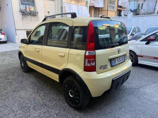 FIAT Panda usata, con Alzacristalli elettrici