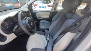 FIAT Panda usata, con Airbag testa