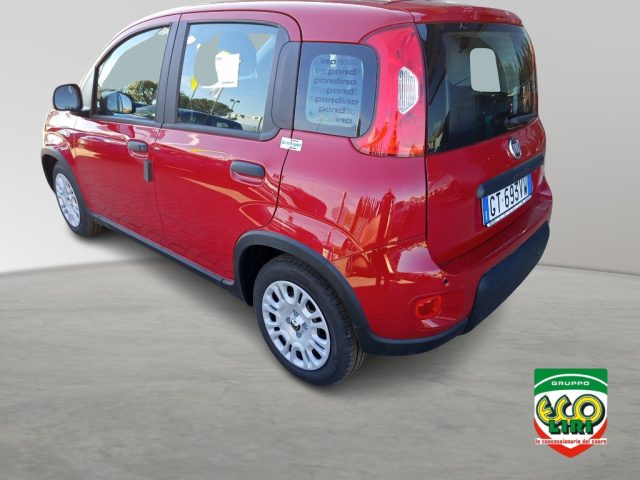 FIAT Panda usata, con Antifurto