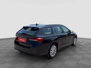 SKODA Octavia usata 4