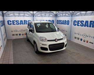 FIAT Pandina 1.0 firefly hybrid Pop s&s 65cv