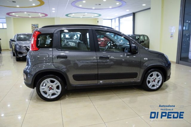 FIAT Panda usata, con Antifurto