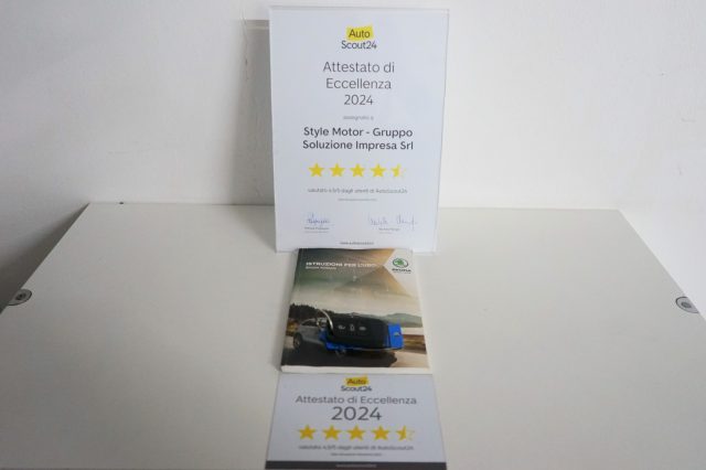 SKODA Kodiaq usata 25