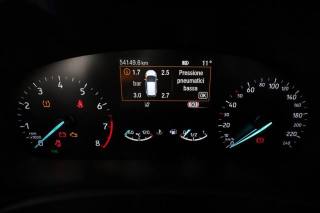 FORD Focus usata 6