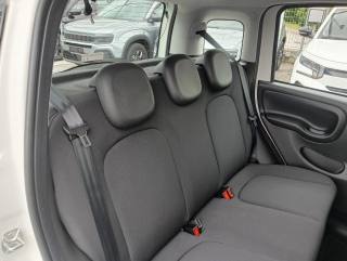 FIAT Panda usata, con Volante multifunzione