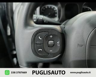 FIAT Panda Cross usata, con Servosterzo
