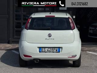 FIAT Punto usata, con Fendinebbia