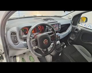 FIAT New Panda usata, con Controllo automatico clima