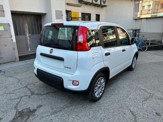 FIAT Panda usata, con Alzacristalli elettrici