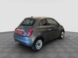 FIAT 500 usata 5