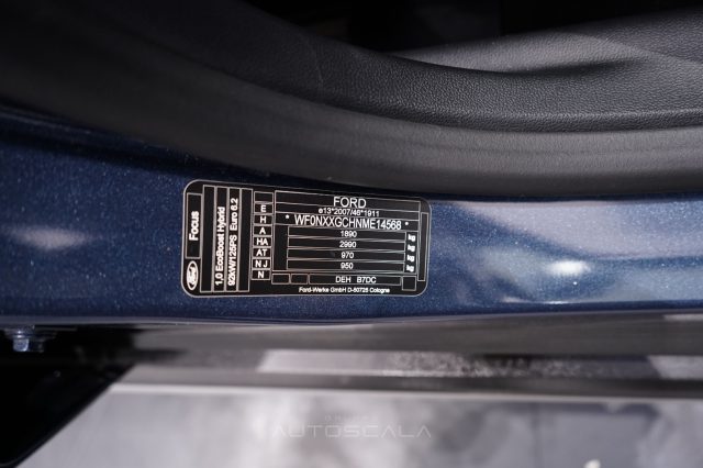 FORD Focus usata 35