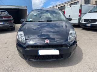 FIAT Punto usata 7