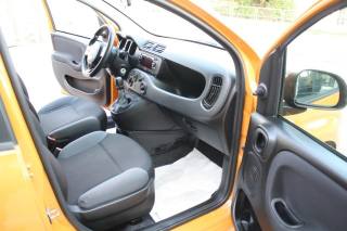 FIAT Panda usata 12