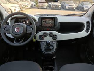 FIAT Panda usata, con Cruise Control