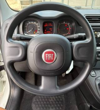 FIAT Panda usata 10