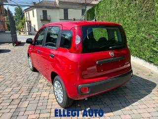 FIAT Panda usata, con Autoradio