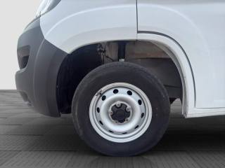FIAT Ducato usata 13