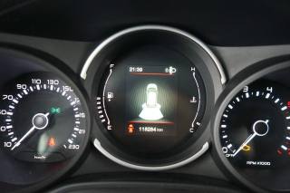 FIAT 500L usata 49