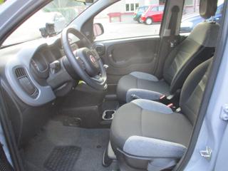 FIAT Panda usata, con Controllo trazione
