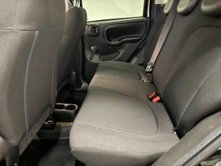 FIAT Panda Cross usata, con Fendinebbia