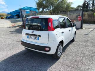 FIAT Panda usata 4