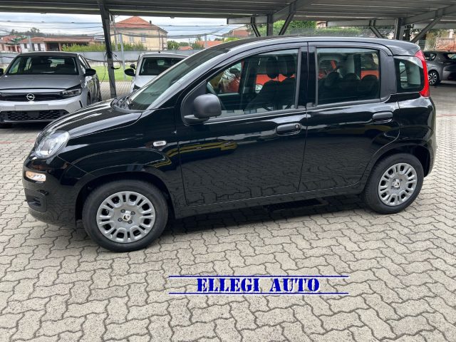 FIAT Panda usata, con Climatizzatore