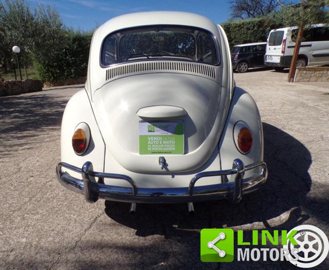 VOLKSWAGEN Maggiolino usata 4