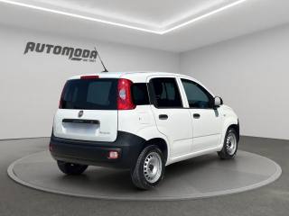 FIAT Panda usata, con Antifurto