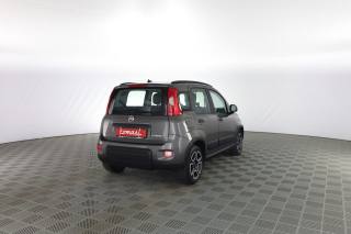 FIAT Panda usata 3