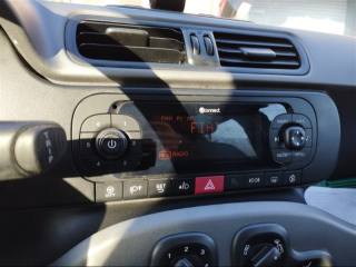 FIAT Panda usata, con ESP