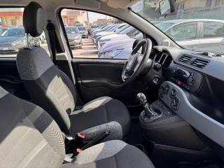 FIAT Panda Cross usata, con Controllo trazione