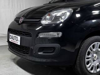 FIAT Panda usata 29