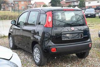 FIAT Panda usata, con Airbag Passeggero