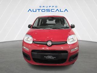 FIAT Pandina usata, con Airbag