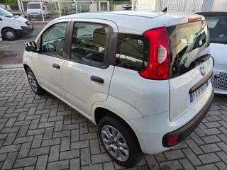 FIAT Panda usata, con Immobilizzatore elettronico