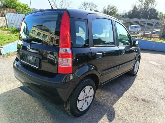 FIAT Panda usata 5