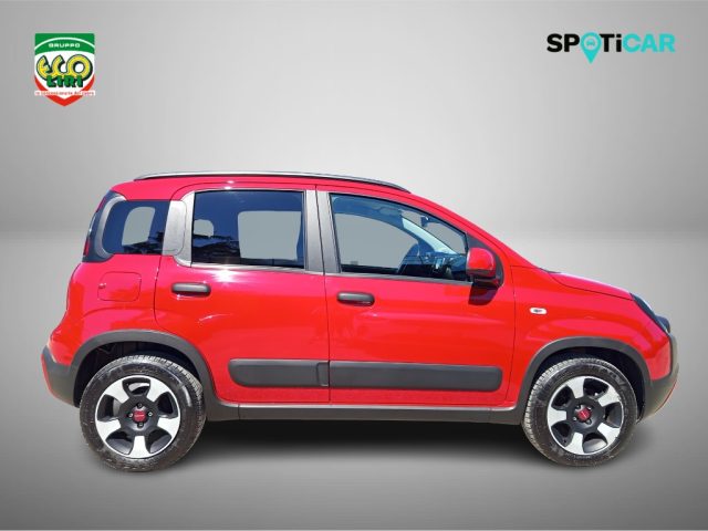 FIAT Panda Cross usata, con Antifurto