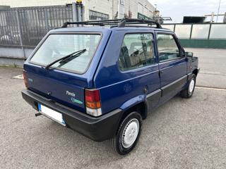 FIAT Panda usata, con Immobilizzatore elettronico