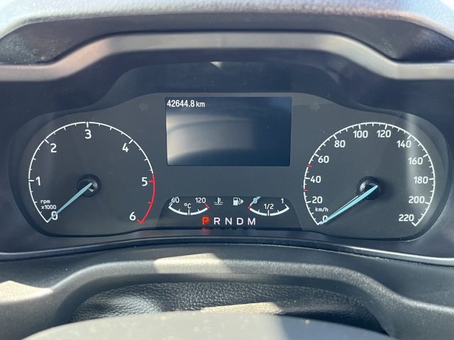 FORD Transit Connect usata, con Servosterzo