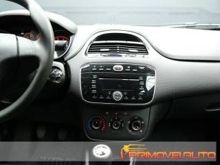 FIAT Punto usata 14