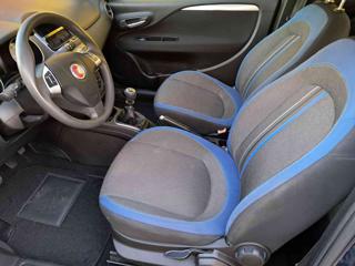 FIAT Punto usata 14
