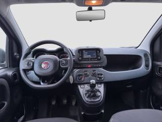 FIAT Panda usata 11