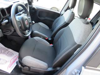 FIAT Panda usata 19