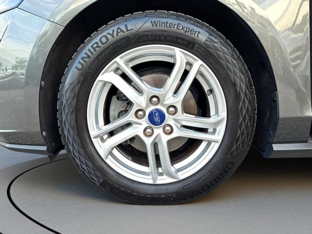 FORD Focus usata, con Fendinebbia